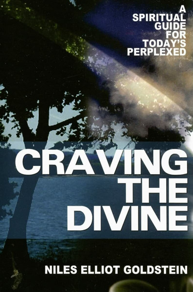 Craving the Divine: A Spiritual Guide for Today's Perplexed