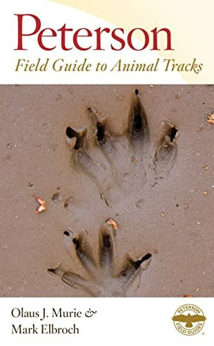 Peterson Field Guide to Animal Tracks: Third Edition (Peterson Field Guides, Band 3)