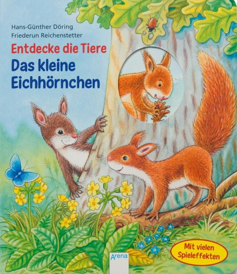 Entdecke die Tiere. Das kleine Eichhörnchen