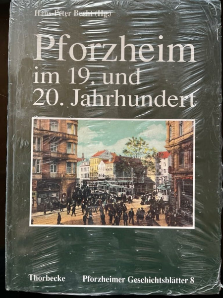 Pforzheim im 19. und 20. Jahrhundert. Bausteine zur modernen Stadtgeschichte
