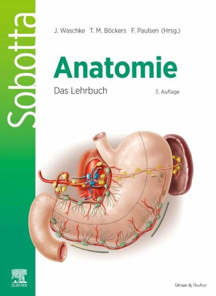 Sobotta Anatomie - Das Lehrbuch: Anatomie verstehen: Das Lehrbuch für Studierende der Human- und Zahnmedizin