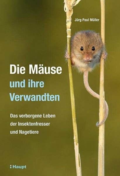 Die Mäuse und ihre Verwandten: Das verborgene Leben der Insektenfresser und Nagetiere