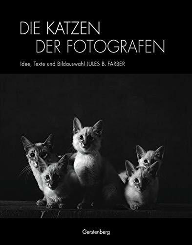 Die Katzen der Fotografen