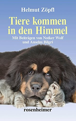 Tiere kommen in den Himmel