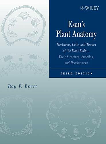 Esau's Plant Anatomy: Meristems, Cells, and Tissues of the Plant Body: Their Structure, Function, and Development Esau's Plant Anatomy: Meristems, Cells, and Tissues of the Plant Body: Their Structure, Function, and Development