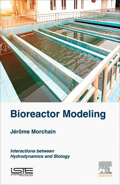 Bioreactor Modeling: Interactions between Hydrodynamics and Biology