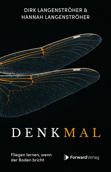 Denkmal: Fliegen lernen, wenn der Boden bricht.