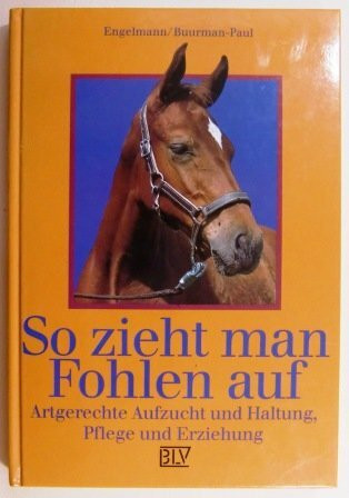So zieht man Fohlen auf