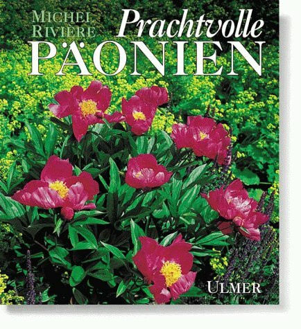 Prachtvolle Päonien