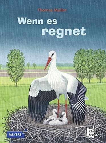 Wenn es regnet Wenn es regnet