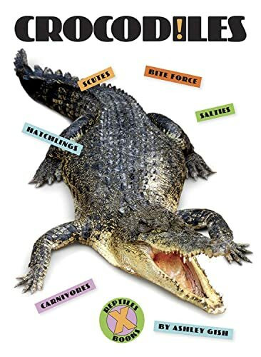 Creative Co Crocodiles (X-Books, Reptiles)