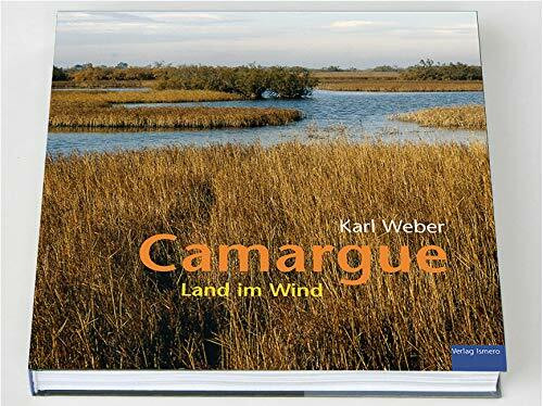 Camargue: Land im Wind