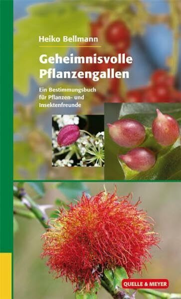 Geheimnisvolle Pflanzengallen: Ein Bestimmungsbuch für Pflanzen- und Insektenfreunde