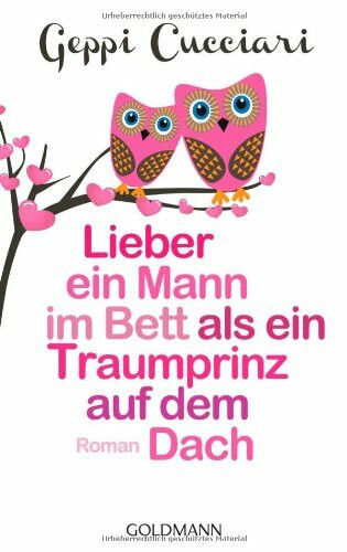 Lieber ein Mann im Bett als ein Traumprinz auf dem Dach: Roman
