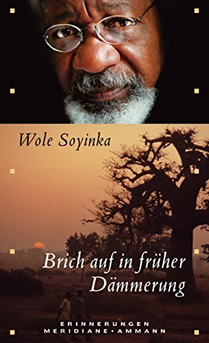Brich auf in früher Dämmerung: Erinnerungen
