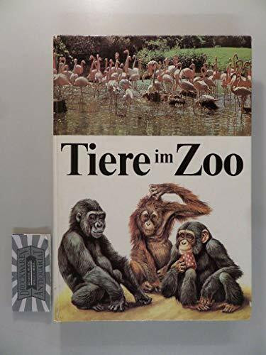 Tiere im Zoo