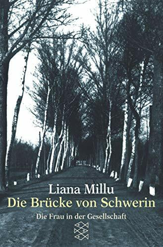 Die Brücke von Schwerin (Die Frau in der Gesellschaft)