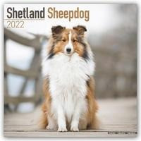 Shetland Sheepdogs - Shelties 2022 - 18-Monatskalender mit freier DogDays-App