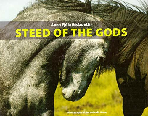 Steed of the Gods (Photographs of the Icelandic Horse)