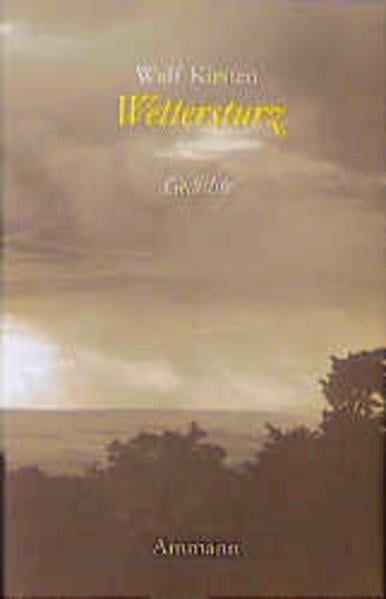 Wettersturz: Gedichte 1993-1998 Wettersturz: Gedichte 1993-1998