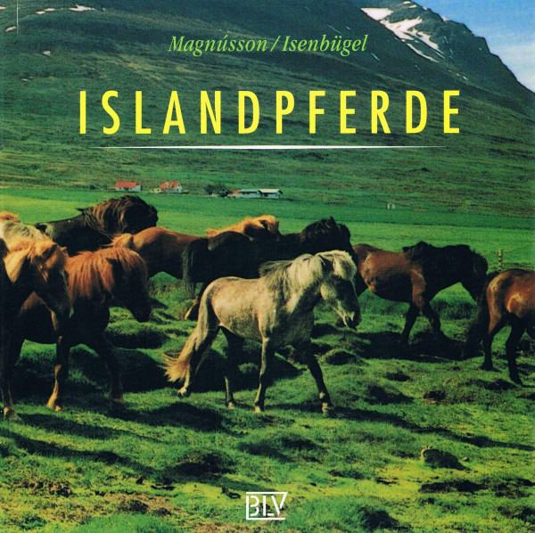 Islandpferde