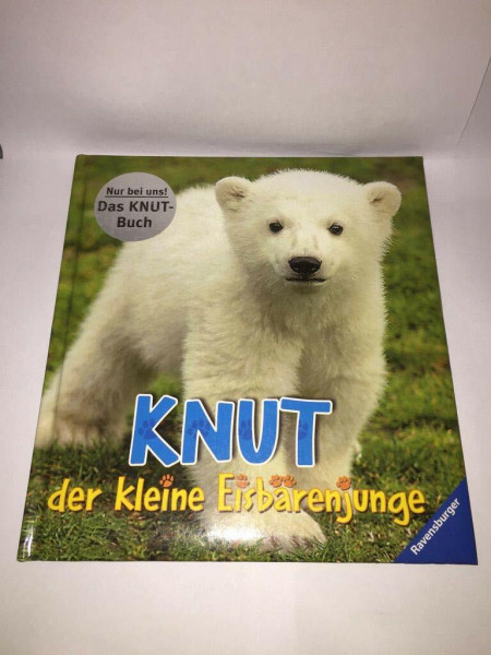 Knut, der kleine Eisbärenjunge