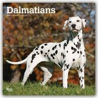 Dalmatians - Dalmatiner 2020 - 18-Monatskalender mit freier DogDays-App
