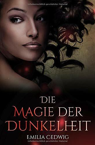 Die Magie der Dunkelheit (DreiKönigsSaga, Band 2)