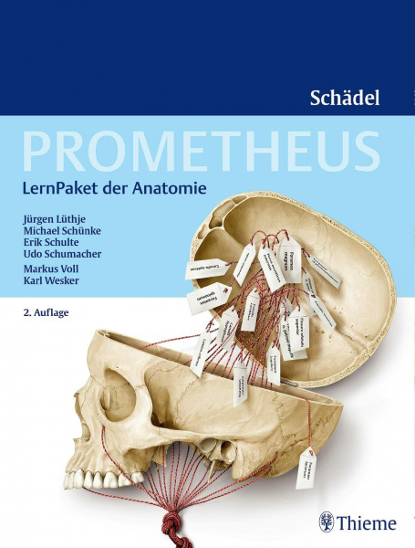 PROMETHEUS LernPaket Anatomie Schädel: Enth.: 1 Lerntafel Terminologie, 1 Lerntafel Foraminologie, 27 LernLeporellos