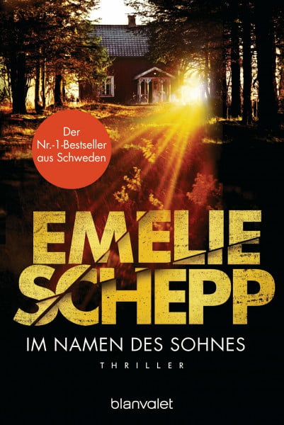Im Namen des Sohnes: Thriller (Jana Berzelius, Band 4)