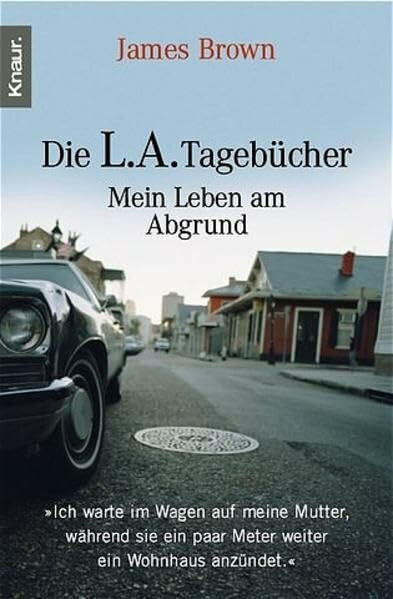 Die L. A. Tagebücher: Mein Leben am Abgrund