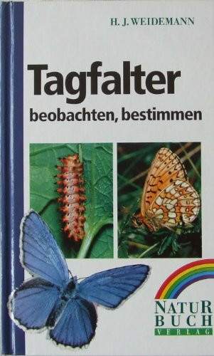 Tagfalter