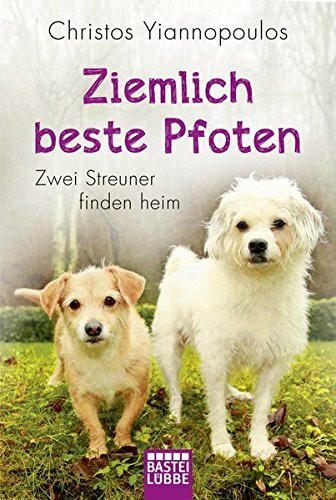 Ziemlich beste Pfoten: Zwei Streuner finden heim