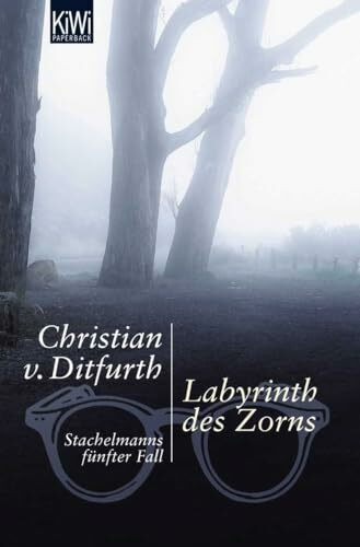 Labyrinth des Zorns: Stachelmanns fünfter Fall (Stachelmann ermittelt, Band 5)