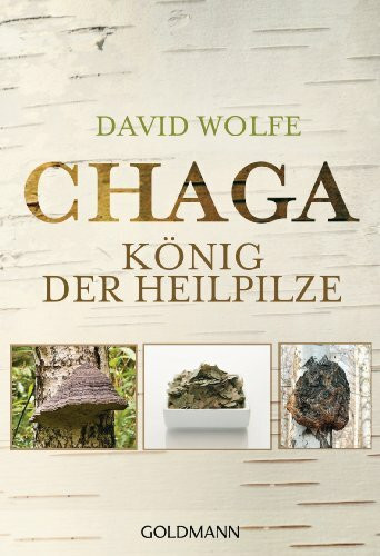 Chaga: König der Heilpilze