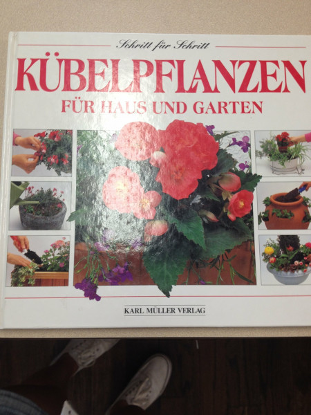 Kübelpflanzen für Haus und Garten