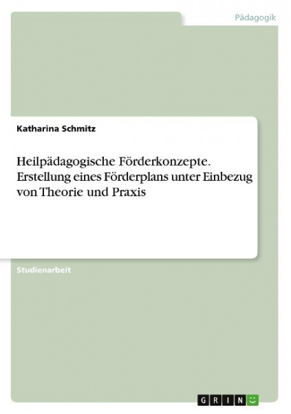 Heilpädagogische Förderkonzepte. Erstellung eines Förderplans unter Einbezug von Theorie und Praxis