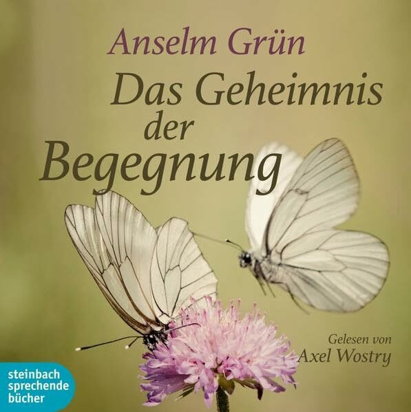 Das Geheimnis der Begegnung: Ungekürzte Lesung