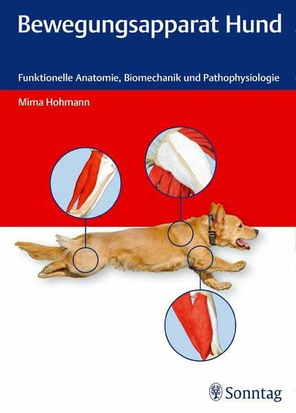 Sonntag Bewegungsapparat Hund, Funktionelle Anatomie, Biomechanik Und Pathophysiologie