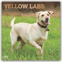 Yellow Labrador Retrievers - Weiße Labradore 2020 - 18-Monatskalender mit freier DogDays-App