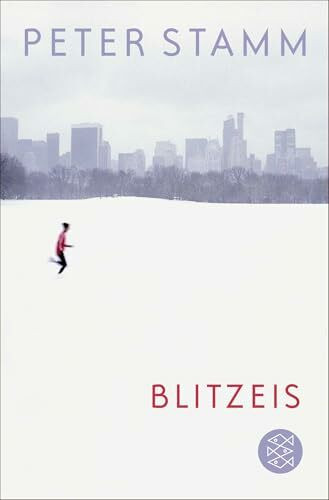Blitzeis: Erzählungen