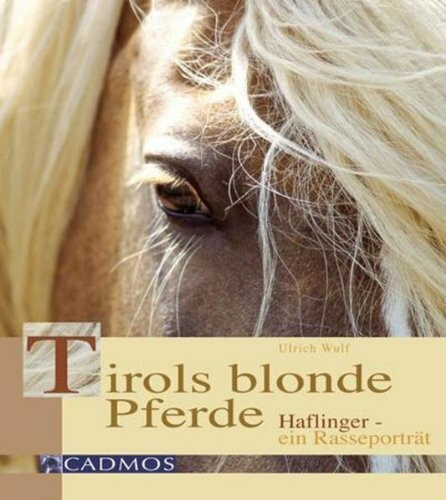 Tirols blonde Pferde: Haflinger ein Rasseporträt
