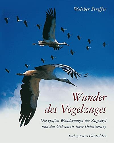 Wunder des Vogelzuges: Die großen Wanderungen der Zugvögel und das Geheimnis ihrer Orientierung