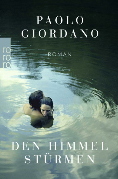 Den Himmel stürmen: Roman