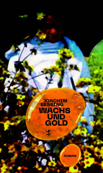 Wachs und Gold: Roman