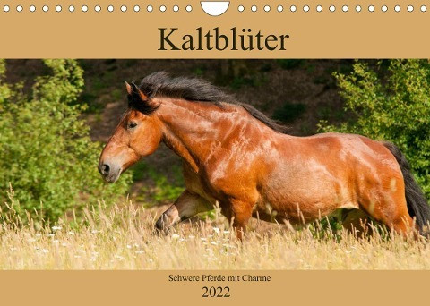 Kaltblüter - Schwere Pferde mit Charme (Wandkalender 2022 DIN A4 quer)