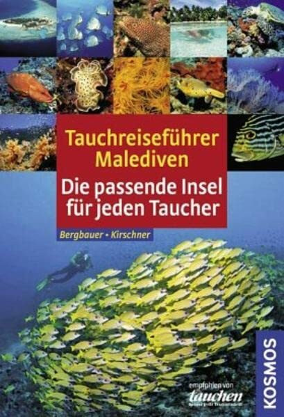 Tauchreiseführer Malediven: Die passende Insel für jeden Taucher