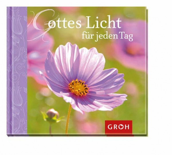 Gottes Licht für jeden Tag (Auf Gottes Wegen)