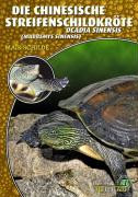 Die Chinesische Streifenschildkröte