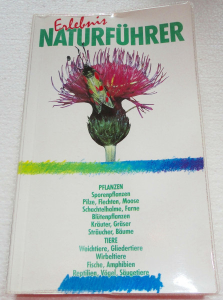 Grosser Natur-Kompass: Pflanzen und Tiere sehen und verstehen (KOMPASS Naturführer)